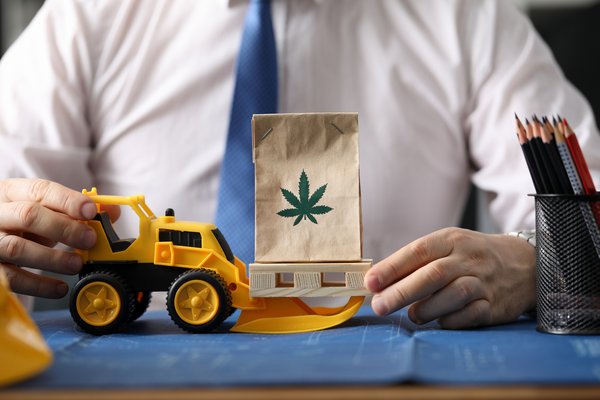 A person with a toy front-end loader carrying a bag displaying a marijuana leaf.